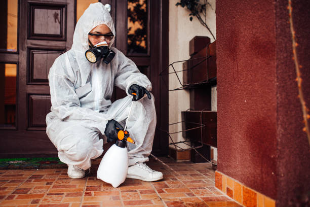 Reliable Wasp Removal contractor in Bartlett, TX by Show Me Pest Control